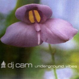 Album cover of Underground Vibes