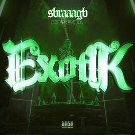 Album cover of Exotík
