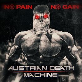 Album cover of No Pain No Gain