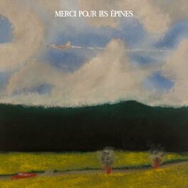 Album cover of MERCI POUR LES ÉPINES
