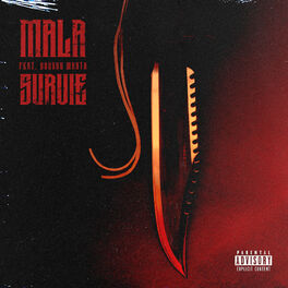 Album cover of Survie