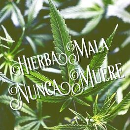 Album cover of Hierba Mala Nunca Muere