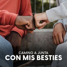 Album cover of Camino a una junta con mis besties