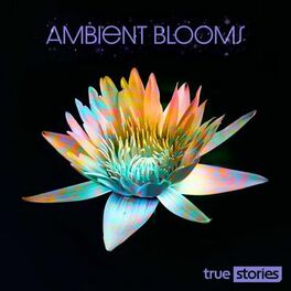Album cover of Ambient Blooms