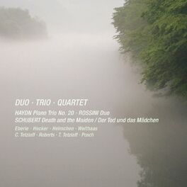 Album cover of Haydn, Rossini & Schubert: Duo, Trio & Quartet