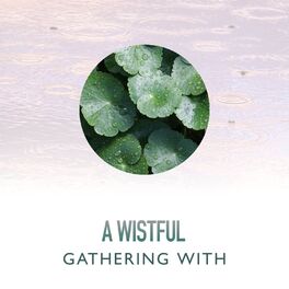 Album cover of A Wistful Gathering with Rainfall