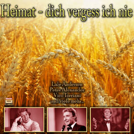 Album cover of Heimat-dich vergess ich nie