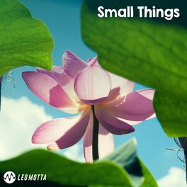 Album cover of Small Things