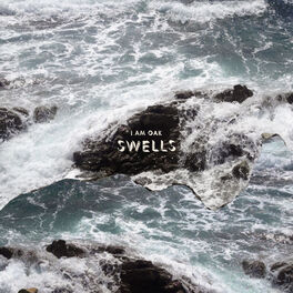 Album cover of Swells