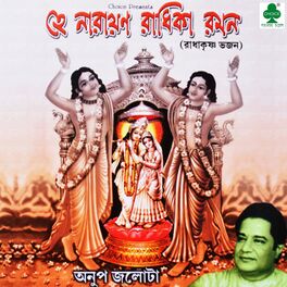 Album cover of Hey Narayan Radhika Raman