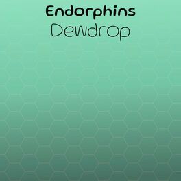 Album cover of Endorphins Dewdrop