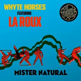 Album cover of Mister Natural