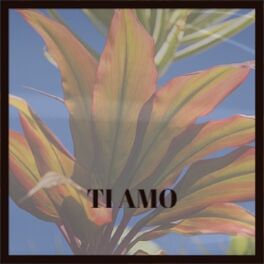 Album cover of Ti Amo