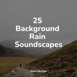 Album cover of 25 Background Rain Soundscapes