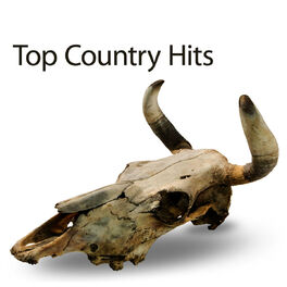 Album cover of Top Country Hits