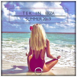 Album cover of Tek In Ibiza: Summer 2019