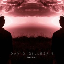 Album cover of Firebird