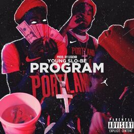 Album cover of Program