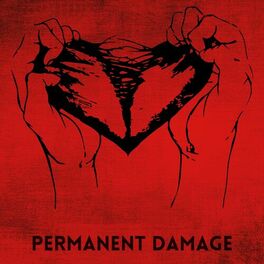 Album cover of Permanent Damage