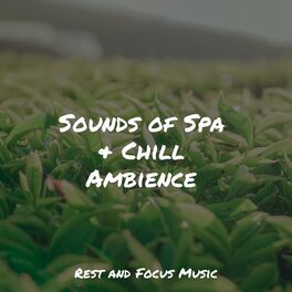 Album cover of Sounds of Spa & Chill Ambience
