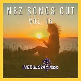 Album cover of Nbz Songs Cut, Vol. 16