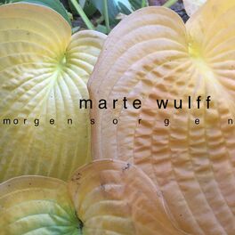 Album cover of Morgensorgen
