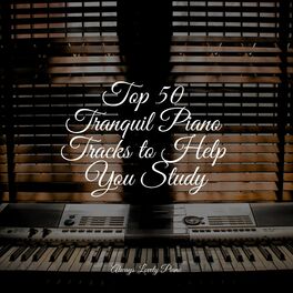 Album cover of Top 50 Tranquil Piano Tracks to Help You Study