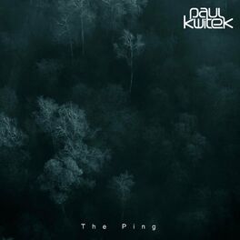 Album cover of The Ping