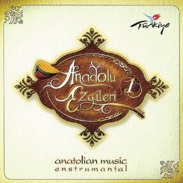 Album cover of Anadolu Ezgileri, Vol. 1