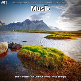 Album cover of #01 Musik zum Schlafen, für Chillout und für neue Energie