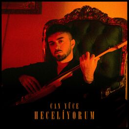 Album cover of Heceliyorum
