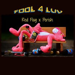 Album cover of fool 4 luv (feat. Perish)
