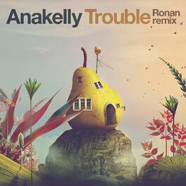 Album cover of Trouble (Ronan Remix)