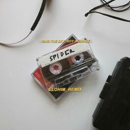 Album cover of Spider (Elohim Remix)