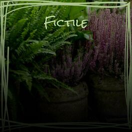Album cover of Fictile