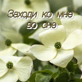Album cover of ЗАХОДИ КО МНЕ ВО СНЕ