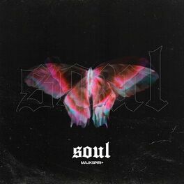 Album cover of soul