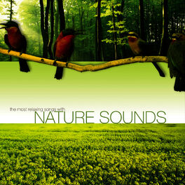 Album cover of The Most Relaxing Songs with Nature Sounds