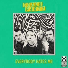 Album cover of Everybody Hates Me