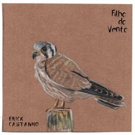 Album cover of Filho do Vento