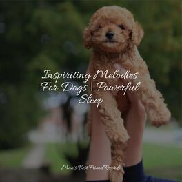Album cover of Inspiriting Melodies For Dogs | Powerful Sleep
