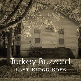 Album cover of Turkey Buzzard