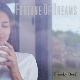 Album cover of Fortune Of Dreams