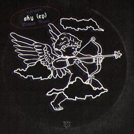 Album cover of Sky