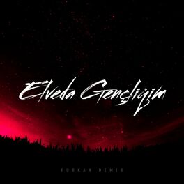 Album cover of Elveda Gençliğim