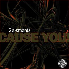 Album cover of Cause You! (Remixes)