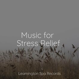 Album cover of Music for Stress Relief