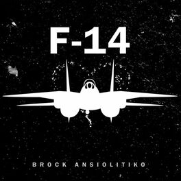Album cover of F-14