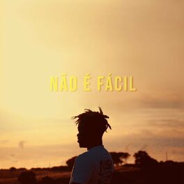 Album cover of Não É Fácil