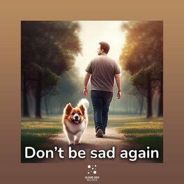 Album cover of Don’t Be Sad Again